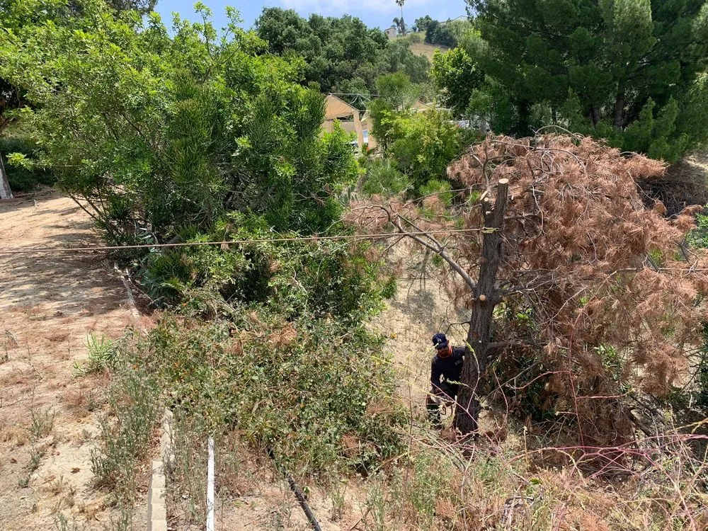 Professional residential landscaping experts serving West Covina, CA - JC Hauling