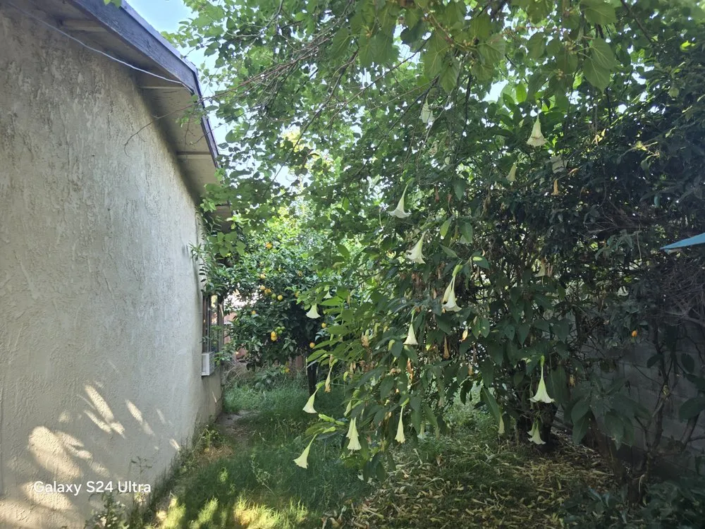 Professional landscape installation for homes in West Covina, CA by JC Hauling