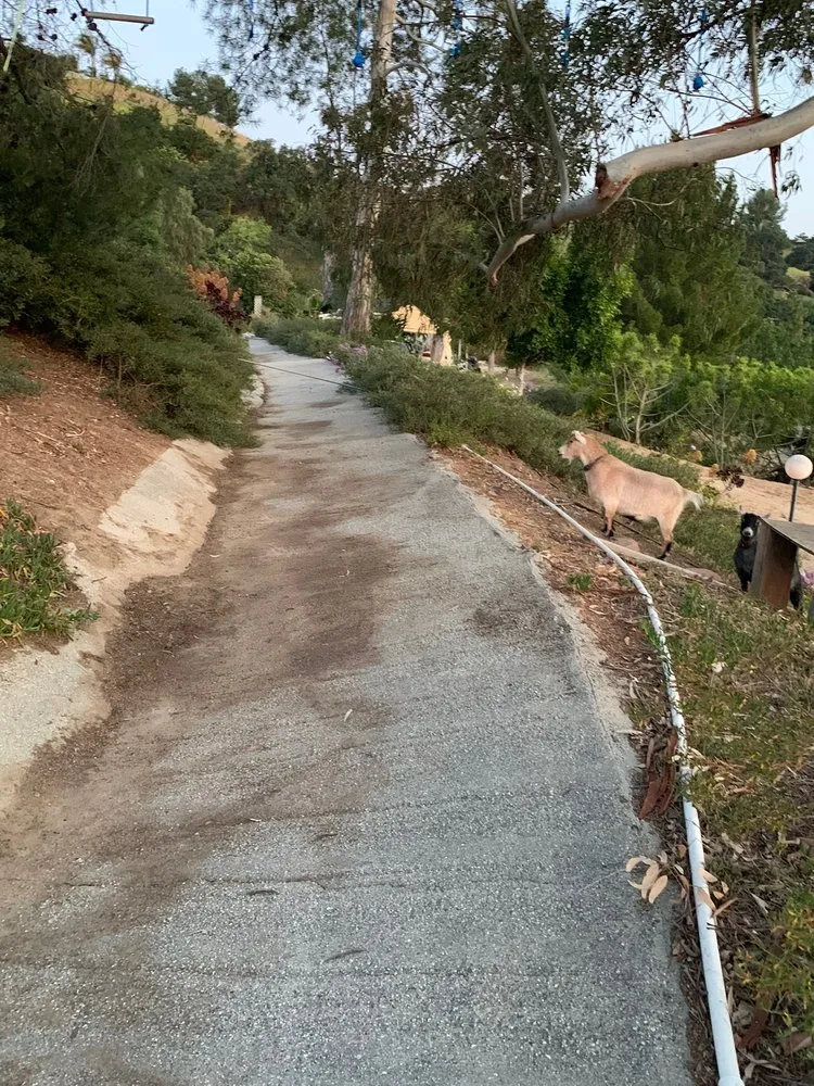 Custom yard maintenance in West Covina, CA - JC Hauling