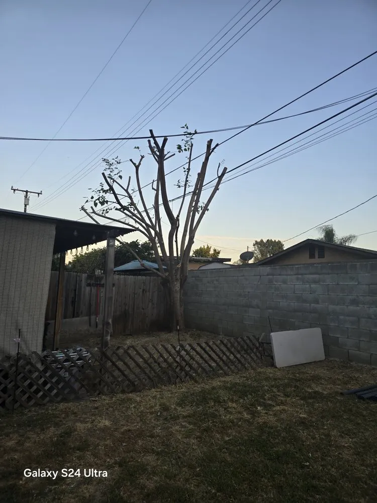 Custom garden landscaping in West Covina, CA by JC Hauling