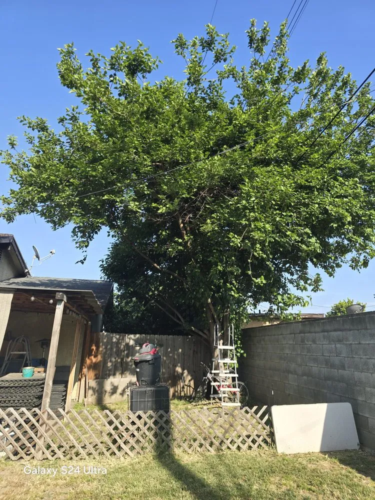 Reliable landscape installation in West Covina, CA - JC Hauling