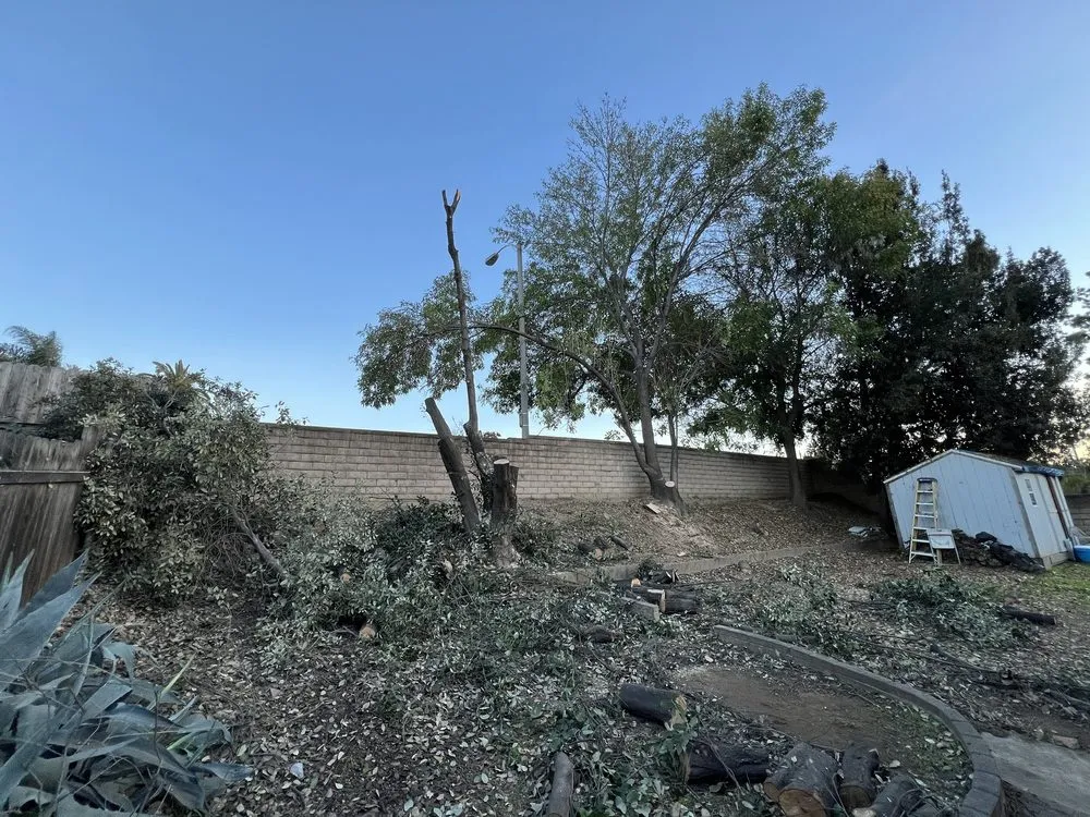 Professional lawn care service for homes across West Covina, CA - JC Hauling