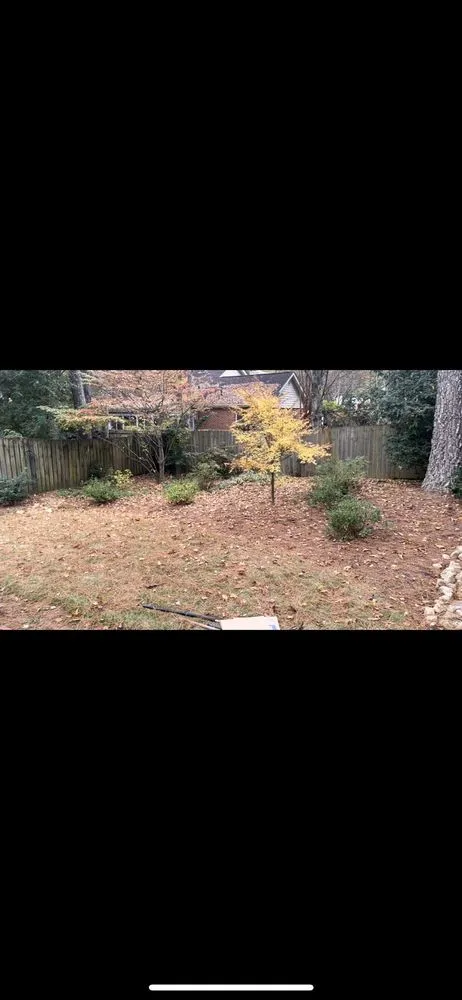 Professional yard maintenance for residential properties in Decatur, GA by JC Home And Yard Services