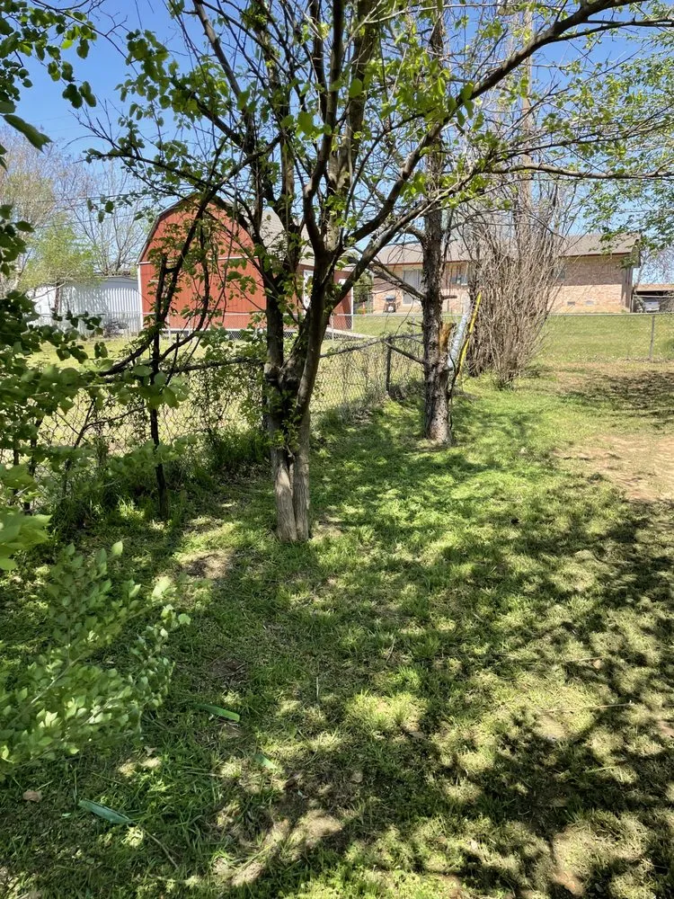 Top-rated lawn care service in Jones, OK by J&C Home Service and Lawn Care