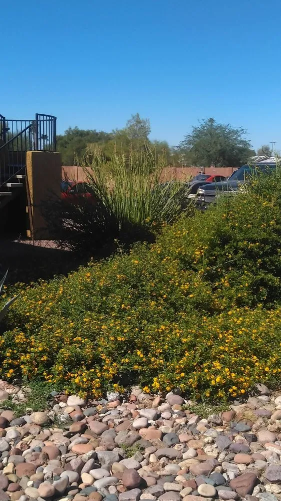 Local landscaping services near you across Tucson, AZ - JC Land Management