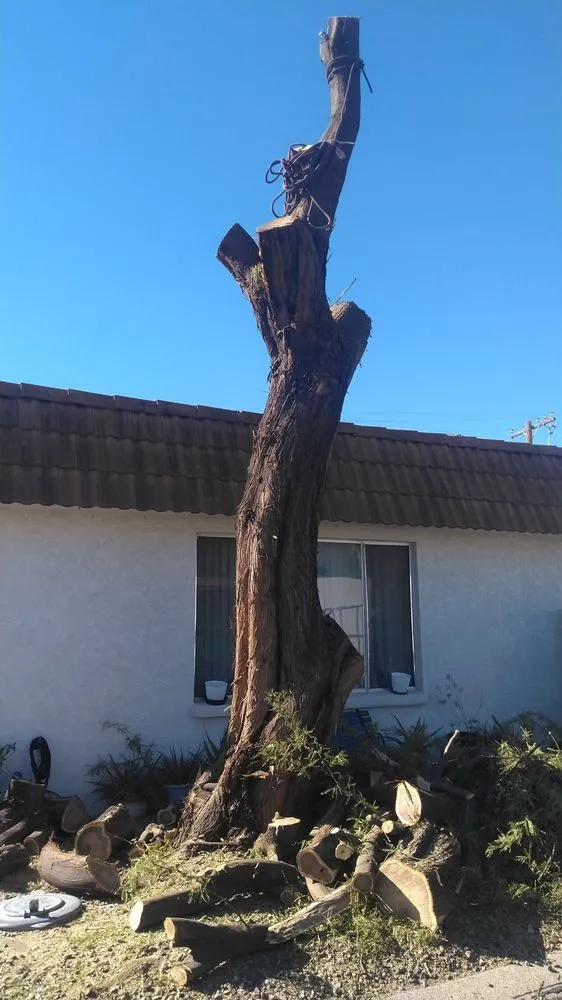 Expert landscape design for residential properties across Tucson, AZ - JC Land Management