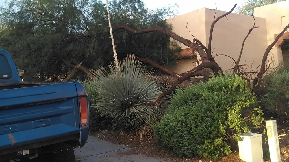 Custom landscape installation near you across Tucson, AZ - JC Land Management