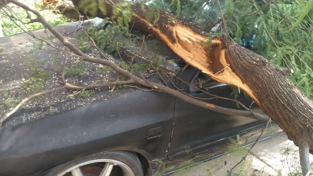 Professional lawn care service experts serving Tucson, AZ - JC Land Management