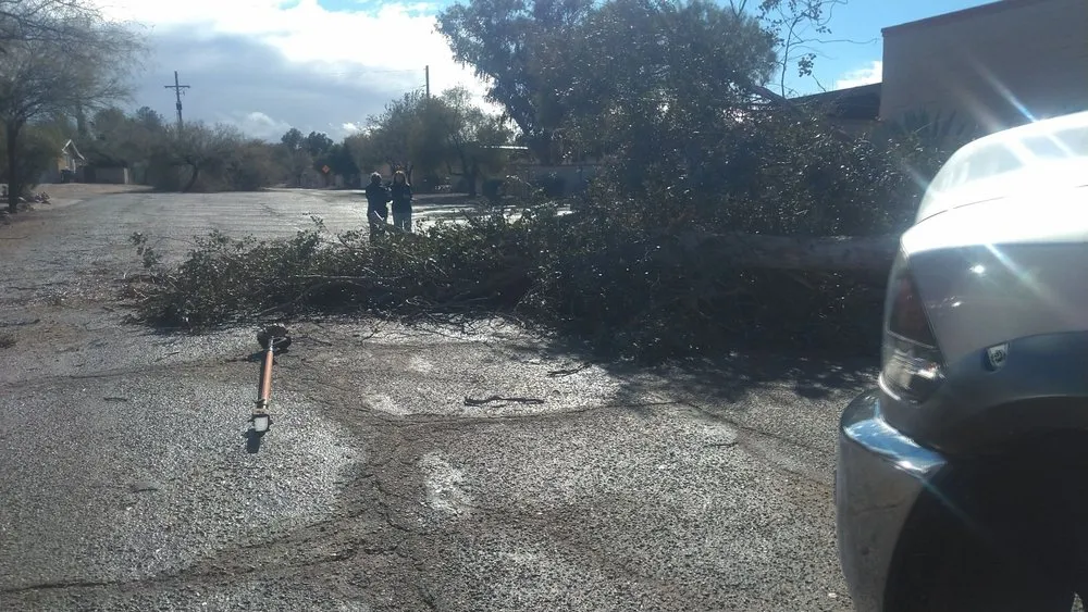Local landscape design for year-round maintenance across Tucson, AZ - JC Land Management