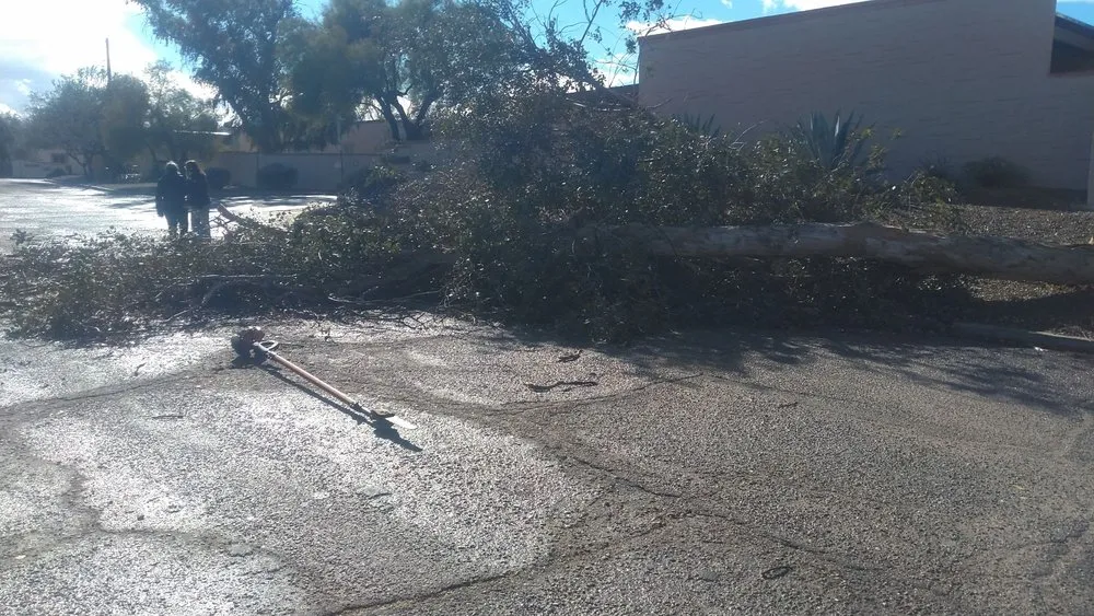 Expert outdoor landscaping experts serving Tucson, AZ - JC Land Management