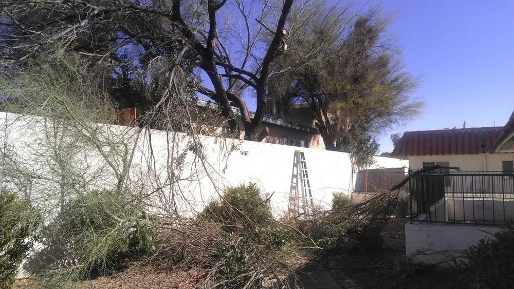 Trusted garden landscaping in Tucson, AZ - JC Land Management
