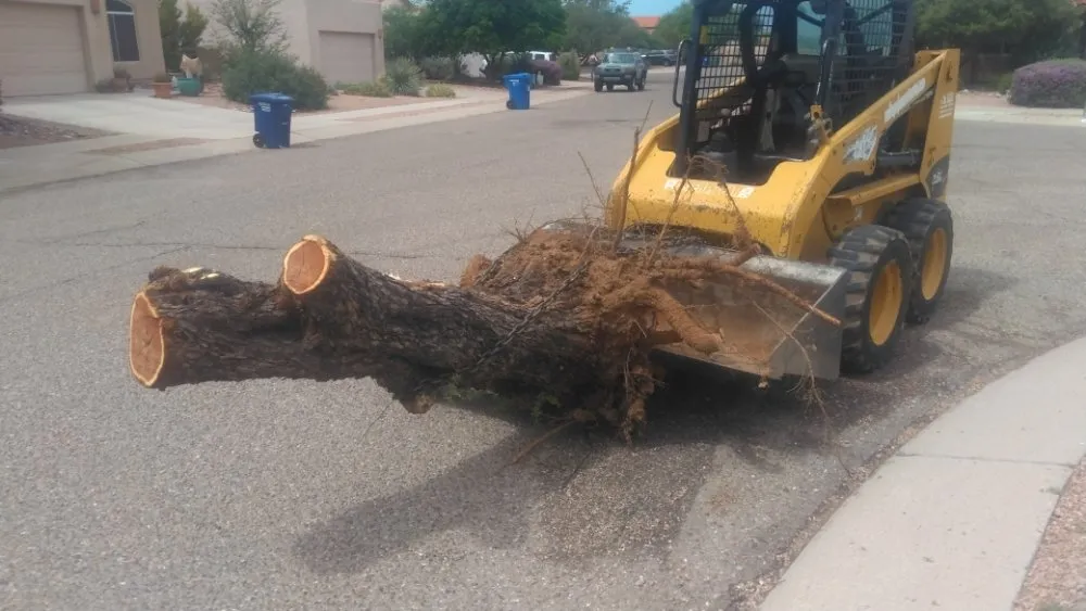 Reliable garden landscaping in Tucson, AZ - JC Land Management