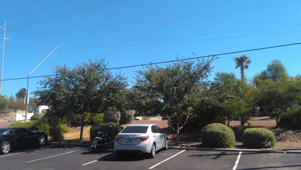 Reliable yard cleanup service for year-round maintenance in Tucson, AZ by JC Land Management