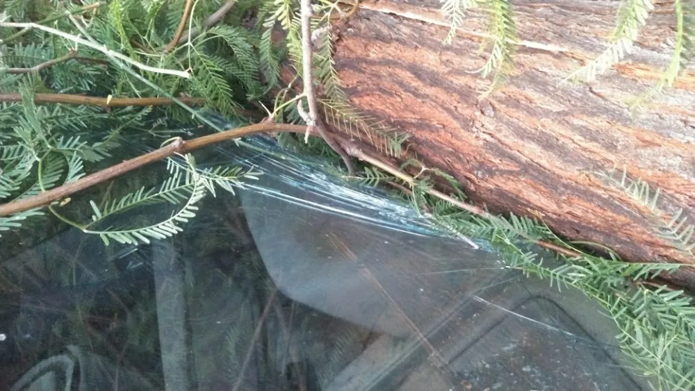 Top-rated garden landscaping for residential properties in Tucson, AZ by JC Land Management