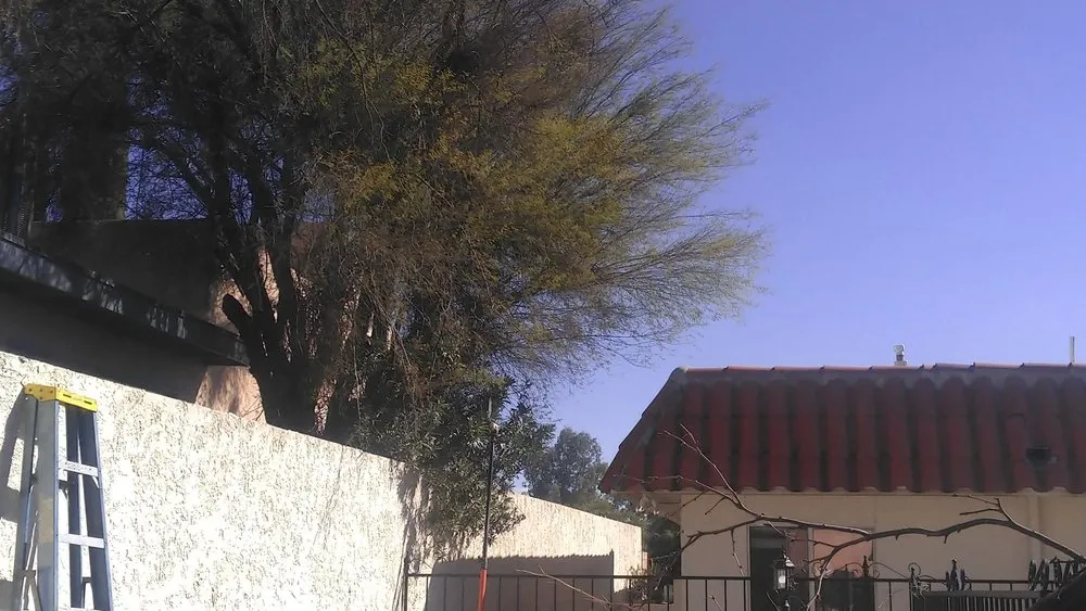 Professional garden landscaping experts serving Tucson, AZ - JC Land Management