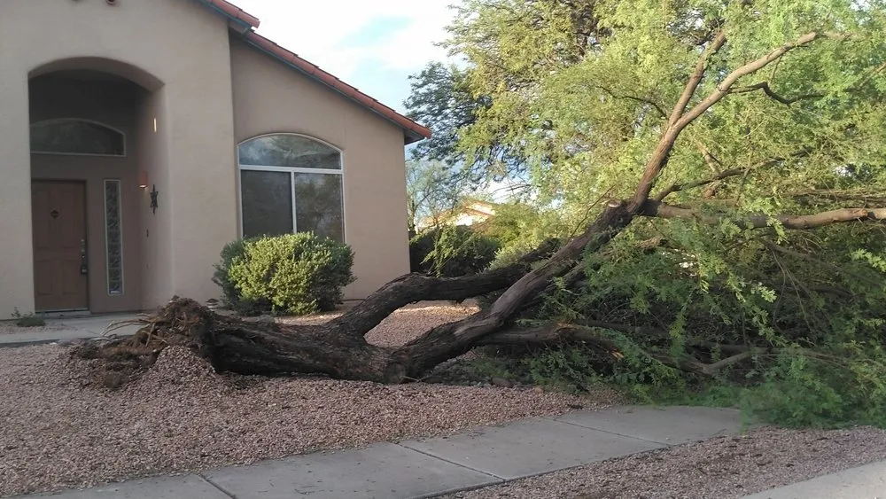 Custom yard maintenance near you across Tucson, AZ - JC Land Management
