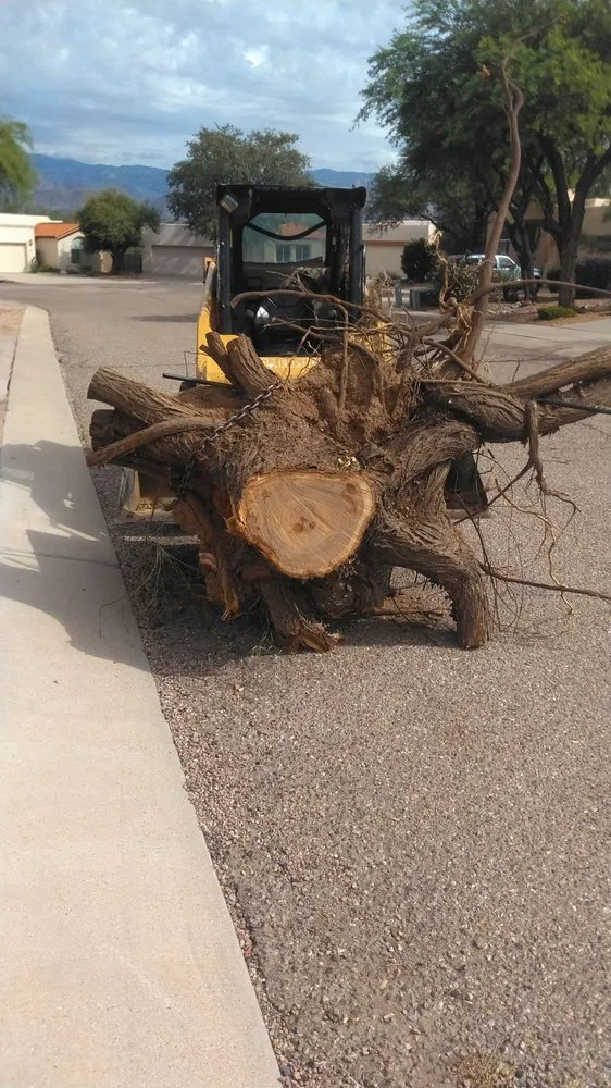 Expert landscaping services for beautiful yards across Tucson, AZ - JC Land Management