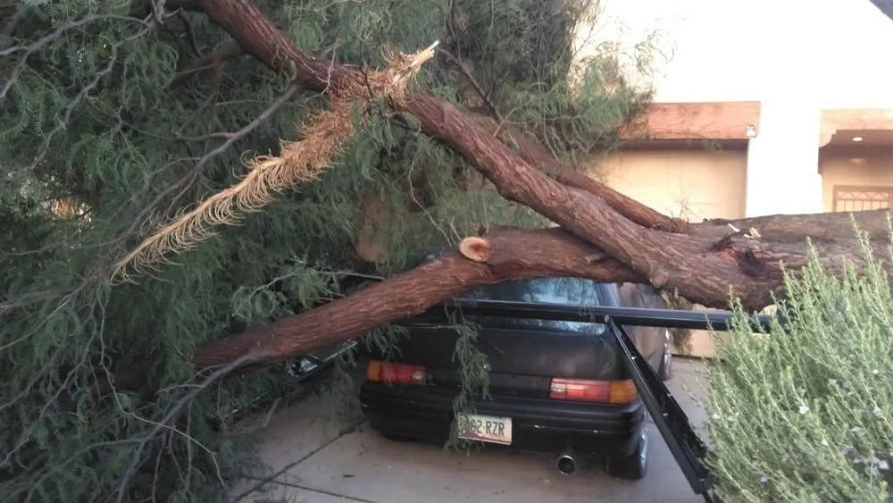 Custom landscape installation in Tucson, AZ - JC Land Management