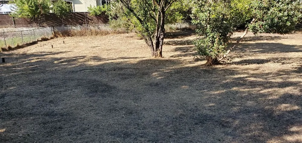 Custom outdoor landscaping for residential properties across San Jose, CA - JC Landscape & Gardening Service