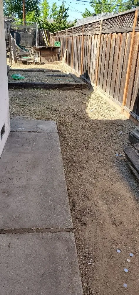 Local yard cleanup service for homes in San Jose, CA by JC Landscape & Gardening Service