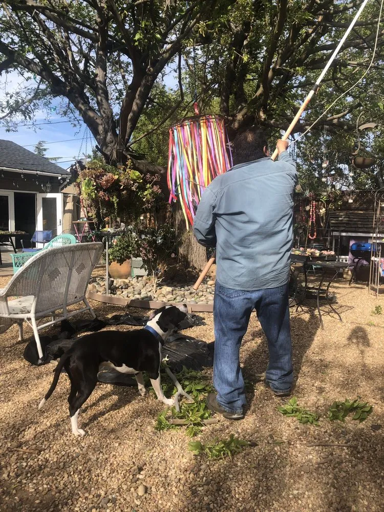 Top-rated lawn mowing service in San Jose, CA by JC Landscape & Gardening Service