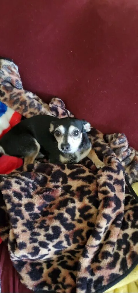 Local garden landscaping for year-round maintenance in San Jose, CA by JC Landscape & Gardening Service