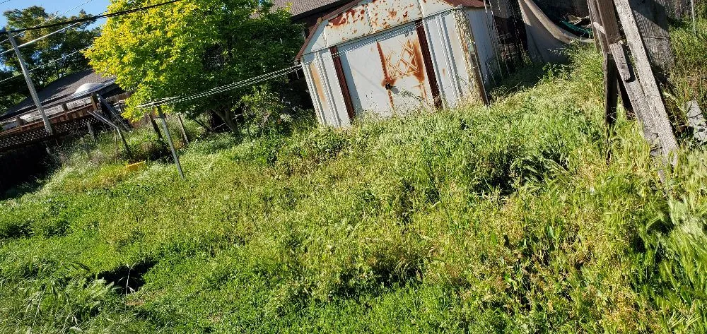 Trusted yard cleanup service for outdoor upgrades in San Jose, CA by JC Landscape & Gardening Service