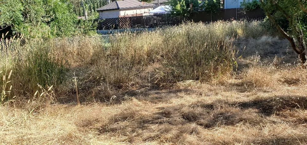 Expert residential landscaping for year-round maintenance across San Jose, CA - JC Landscape & Gardening Service