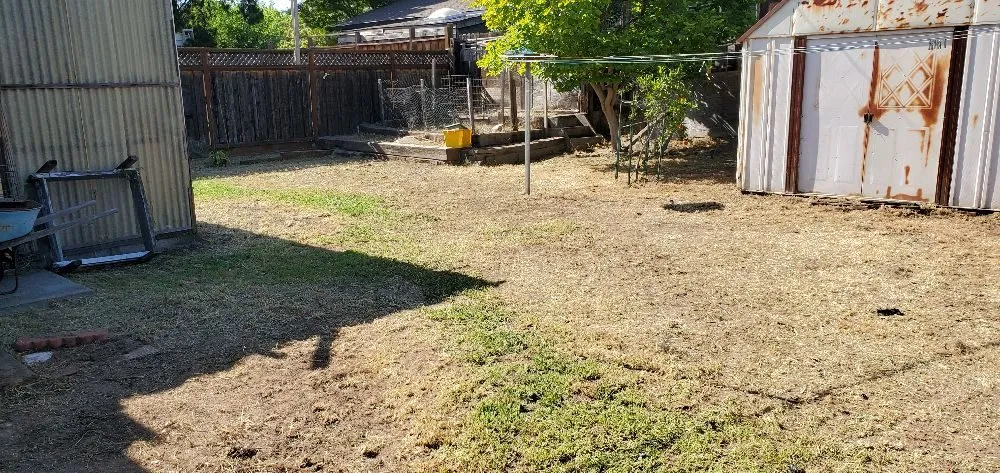 Affordable lawn mowing service with custom design in San Jose, CA by JC Landscape & Gardening Service