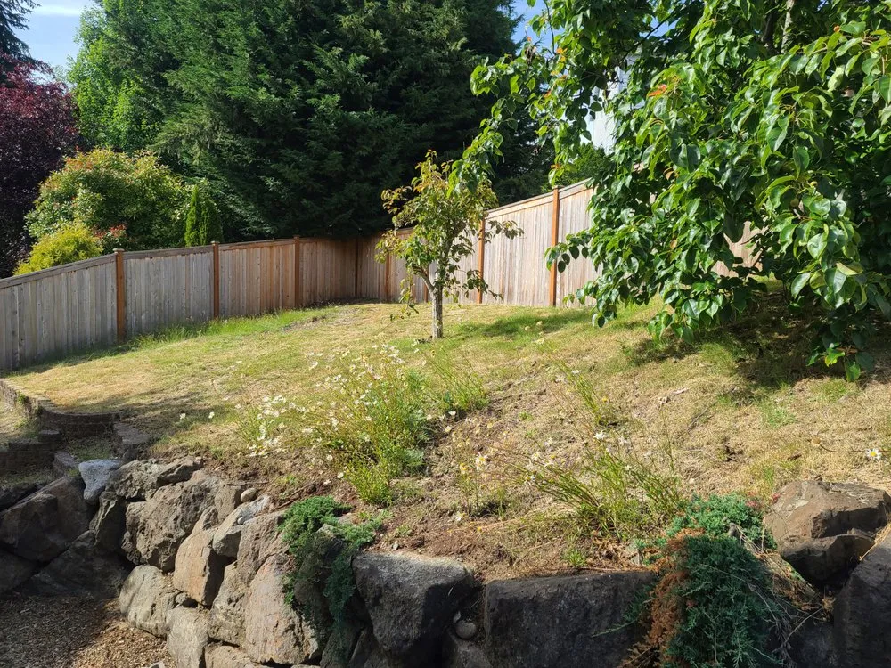 Reliable lawn mowing service experts serving Bothell, WA - Jc Landscape And Construction