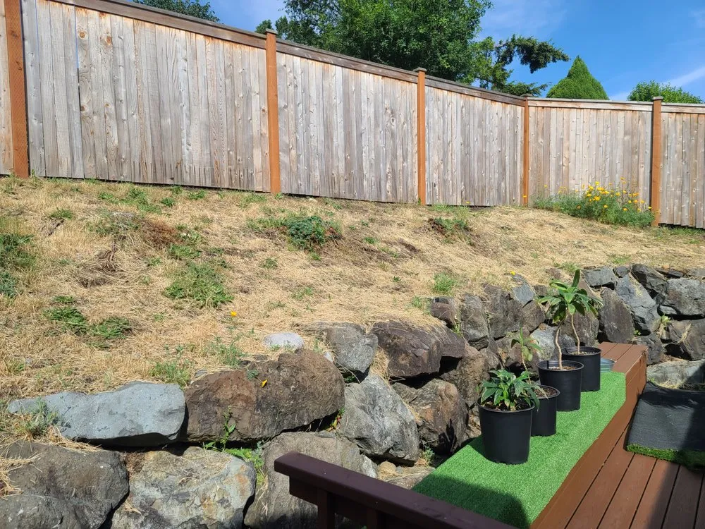 Affordable lawn mowing service in Bothell, WA by Jc Landscape And Construction