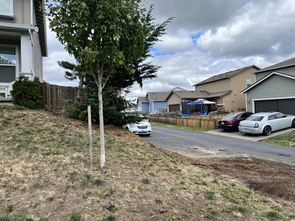 Top-rated outdoor landscaping for residential properties across Seattle, WA - JC Landscape and Construction