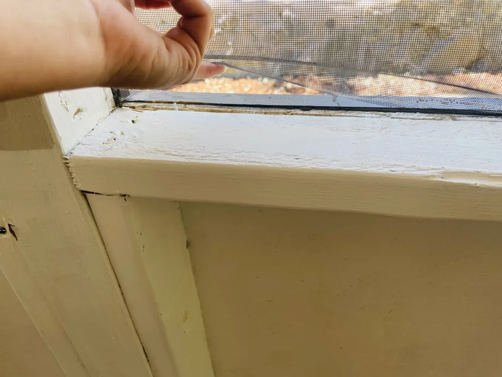 Reliable lawn mowing service in Seattle, WA - JC Landscape and Construction