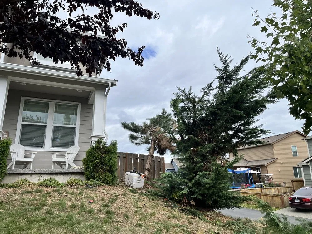 Custom garden landscaping experts serving Seattle, WA - JC Landscape and Construction