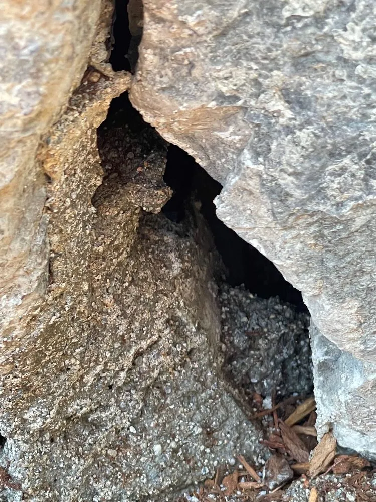 Reliable lawn care service for residential properties in Seattle, WA by JC Landscape and Construction