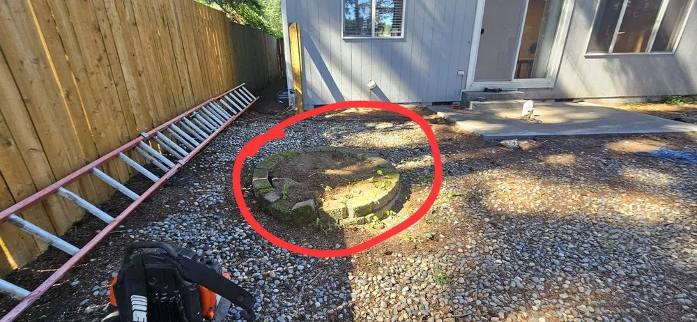 Trusted yard cleanup service for homes across Seattle, WA - JC Landscape and Construction