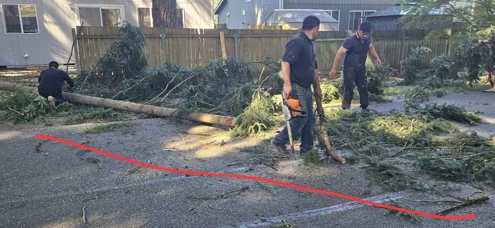 Trusted lawn care service experts serving Seattle, WA - JC Landscape and Construction