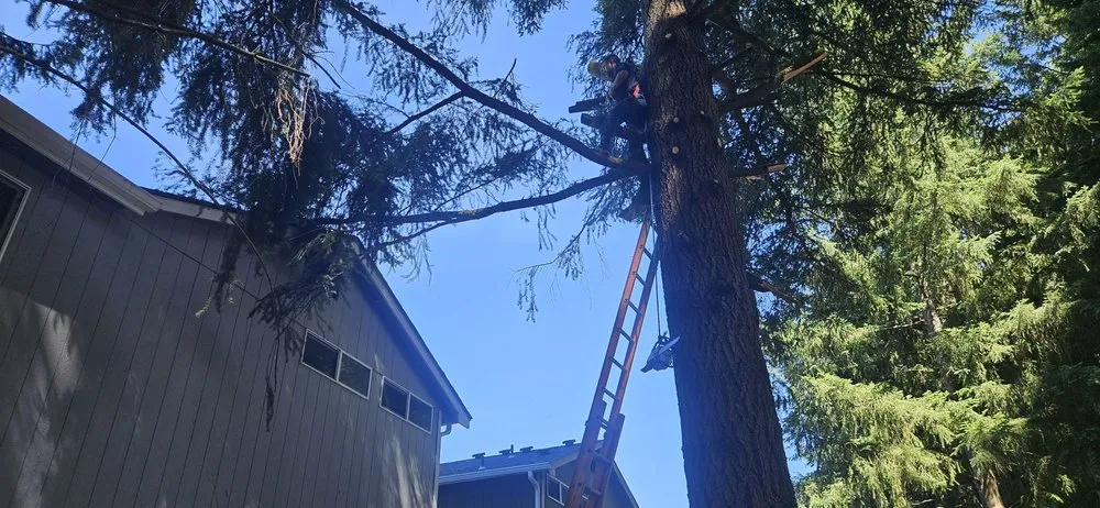 Trusted garden landscaping experts serving Seattle, WA - JC Landscape and Construction