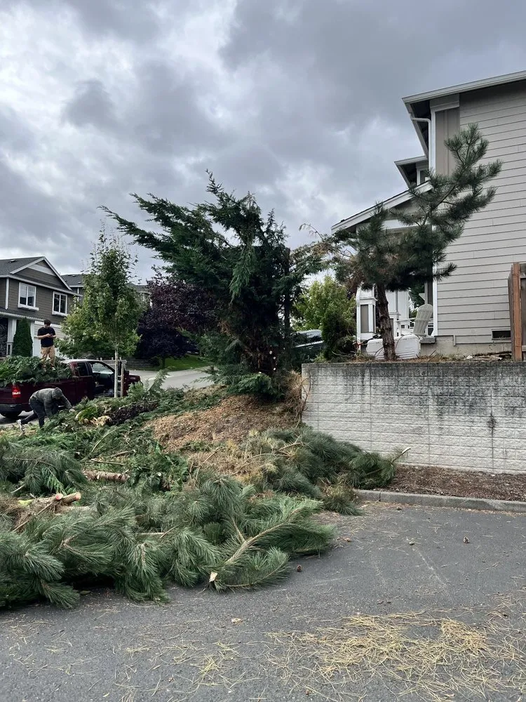 Top-rated outdoor landscaping for outdoor upgrades across Seattle, WA - JC Landscape and Construction