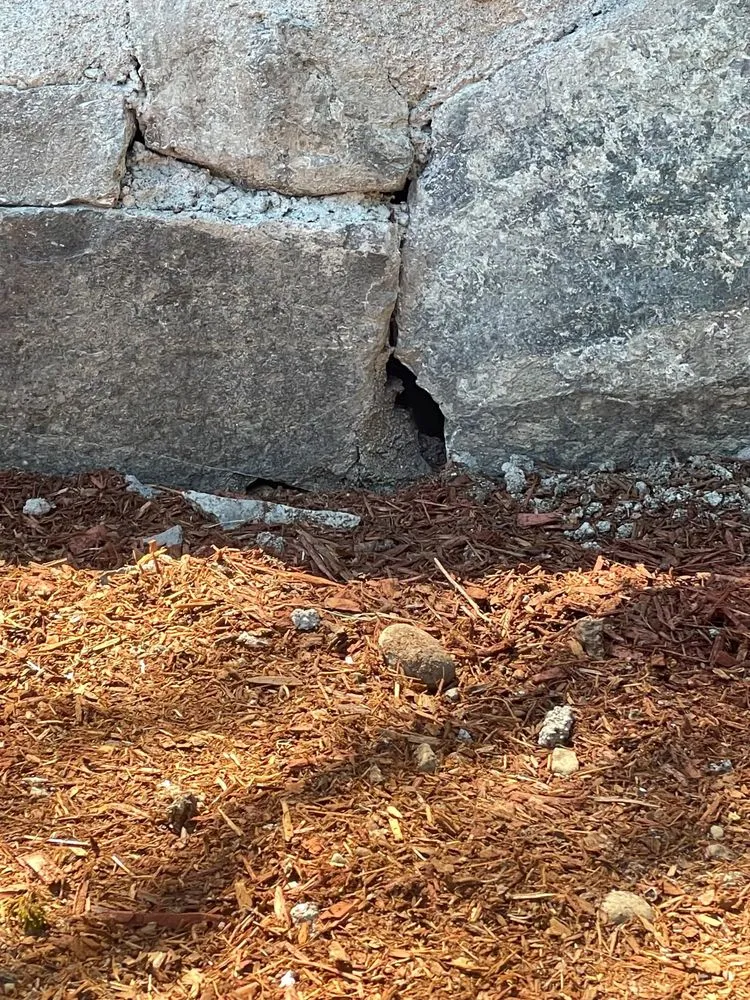 Affordable yard maintenance for homes across Seattle, WA - JC Landscape and Construction