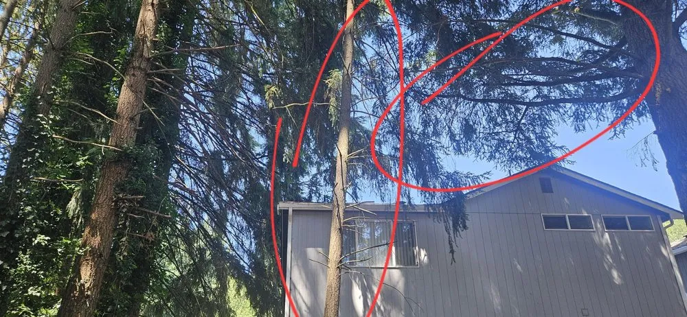 Expert lawn care service experts serving Seattle, WA - JC Landscape and Construction