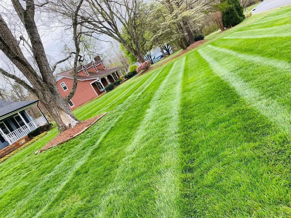 Professional yard cleanup service experts serving Charlotte, NC - JC Landscape