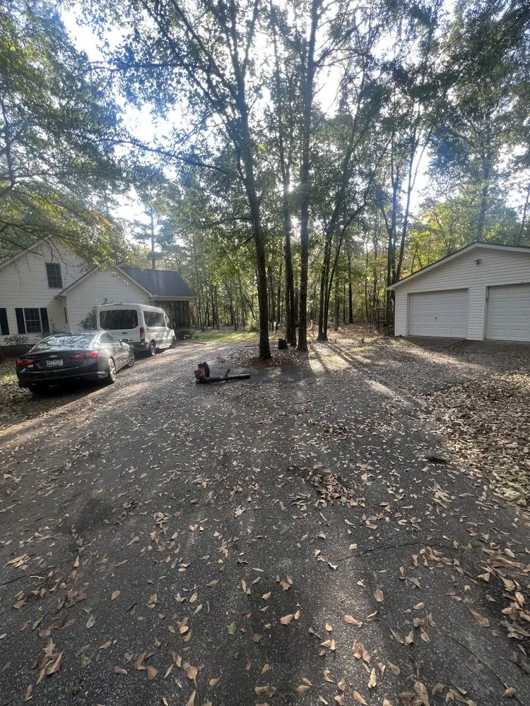 Professional yard cleanup service experts serving Eastover, SC - J.C Landscape