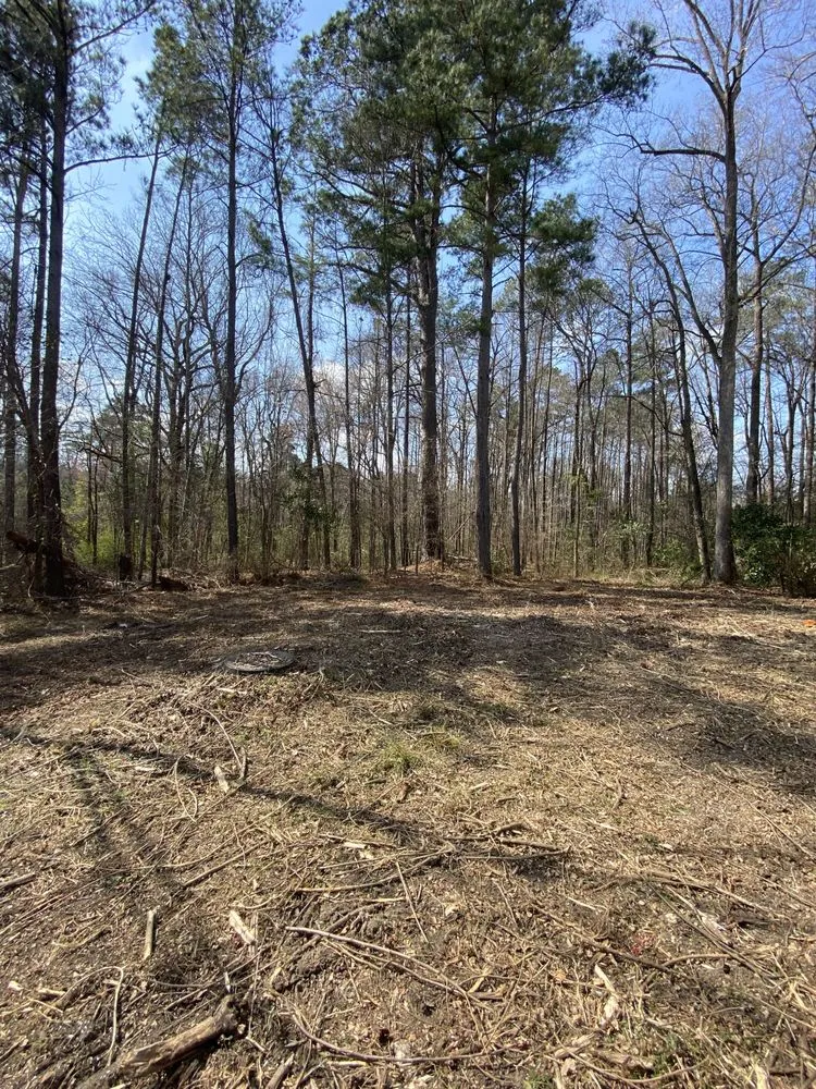 Local residential landscaping for beautiful yards in Eastover, SC by J.C Landscape