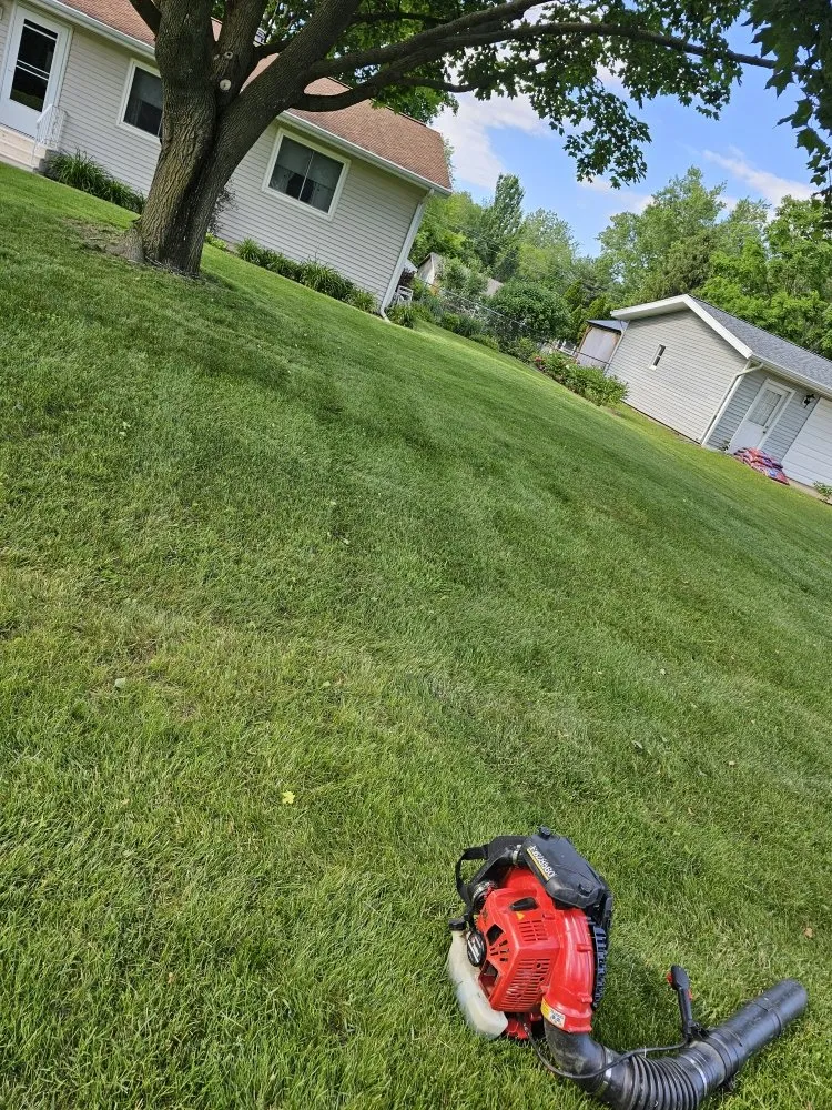 Trusted landscaping services for beautiful yards across Jackson, MI - JC Landscape