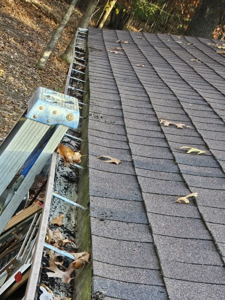 Trusted yard maintenance experts serving Jackson, MI - JC Landscape