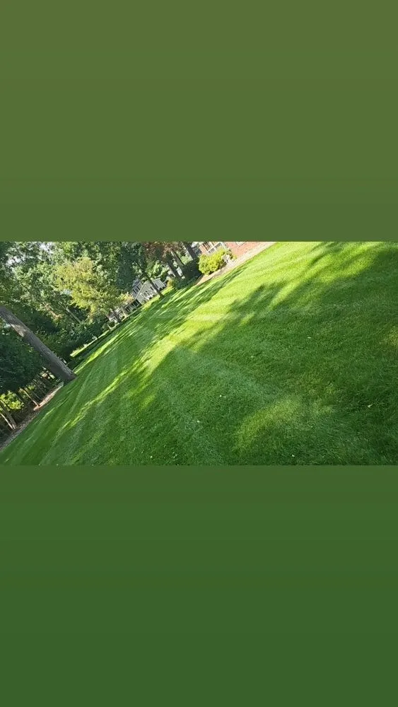 Local landscaping services for residential properties across Jackson, MI - JC Landscape