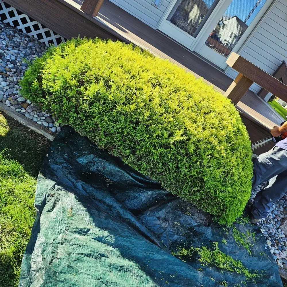 Top-rated yard cleanup service in Jackson, MI by JC Landscape