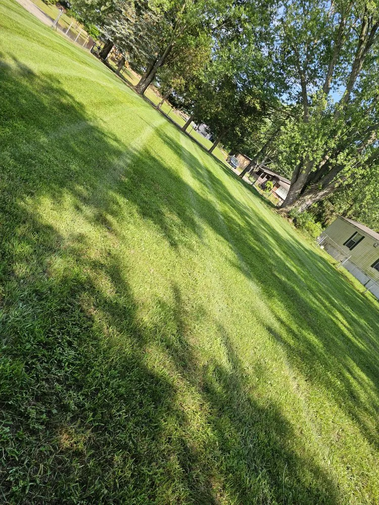 Trusted yard cleanup service experts serving Jackson, MI - JC Landscape