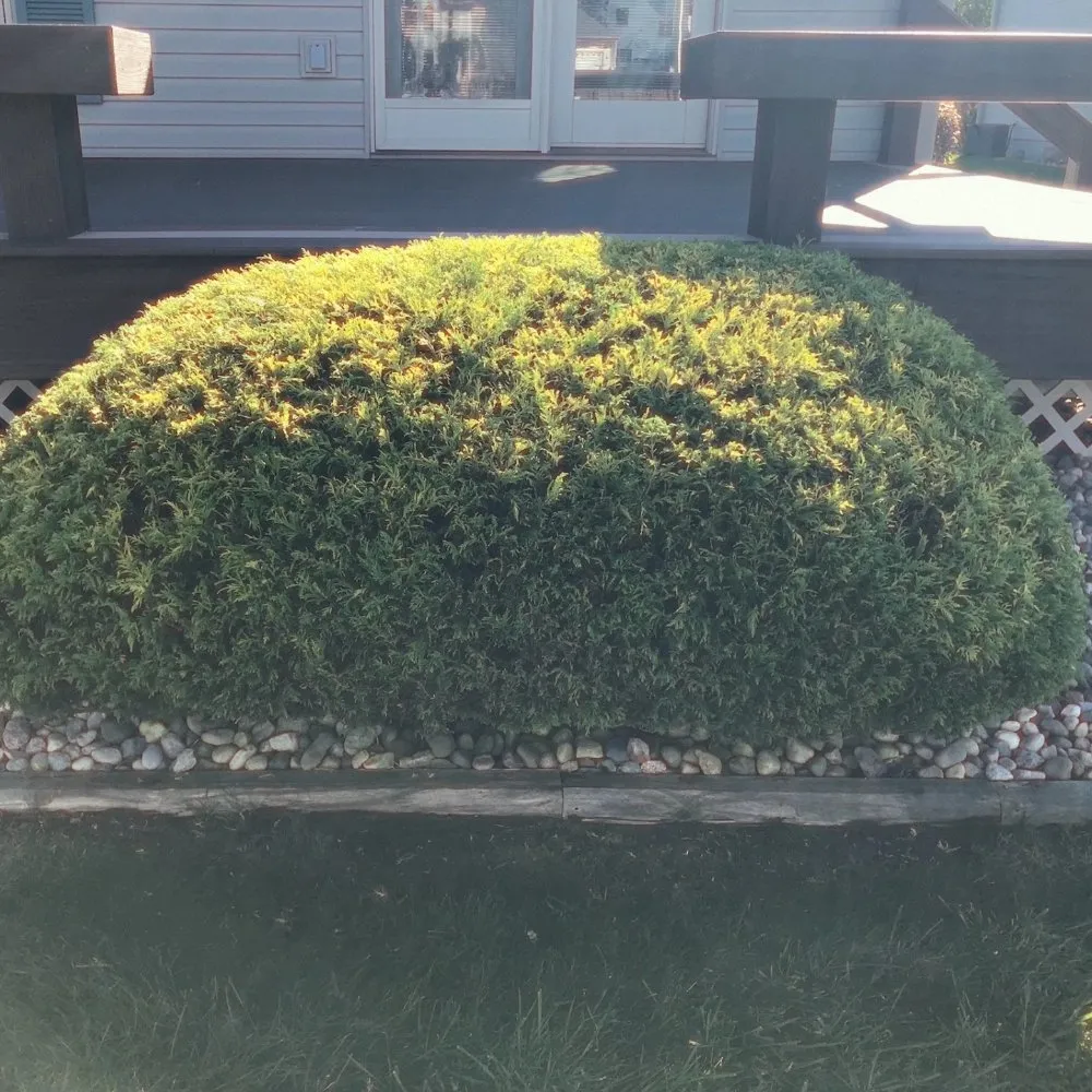 Top-rated yard cleanup service in Jackson, MI - JC Landscape